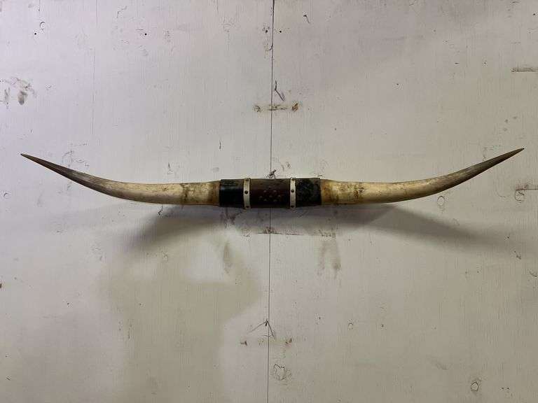 Longhorn Wall Mount image