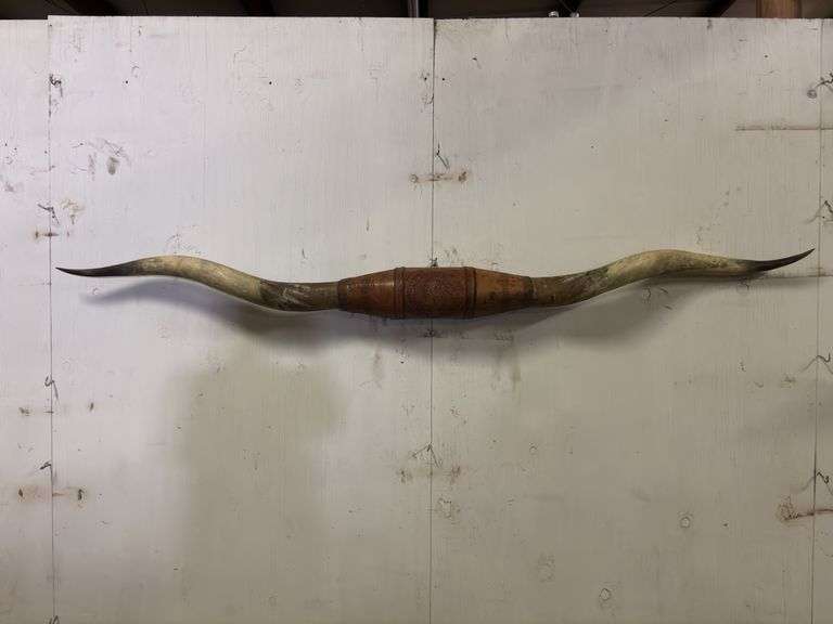 Longhorn Wall Mount image