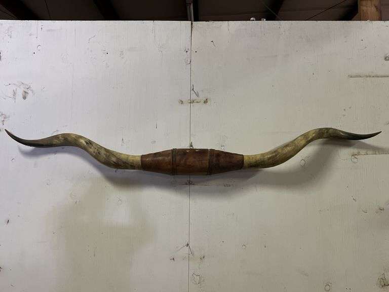 Longhorn Wall Mount image
