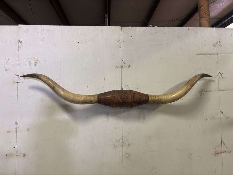Longhorn Wall Mount image