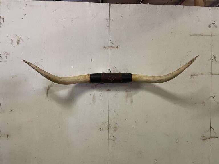 Longhorn Wall Mount image