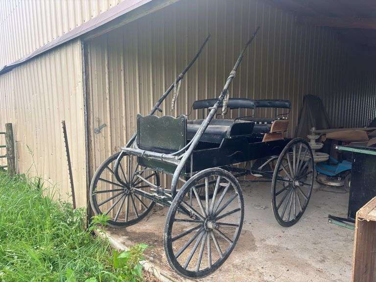 David Williams 2 Seater Buggy image