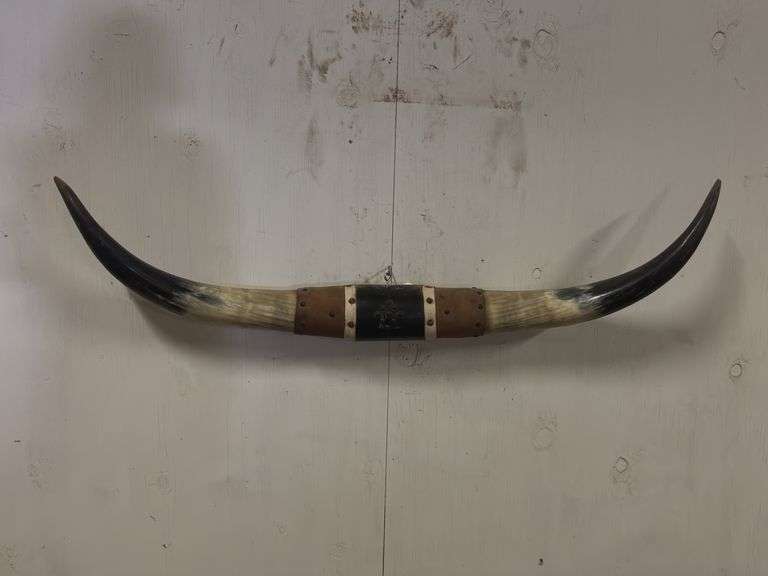 Longhorn Wall Mount image