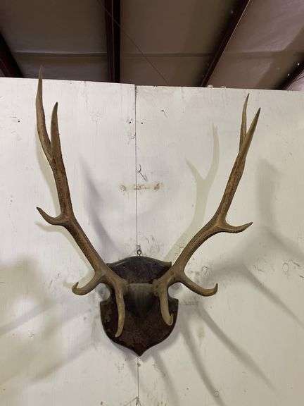 Elk Plaque Mount image