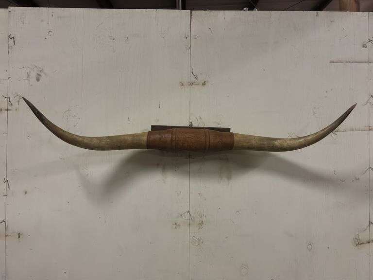 Longhorn Wall Mount image