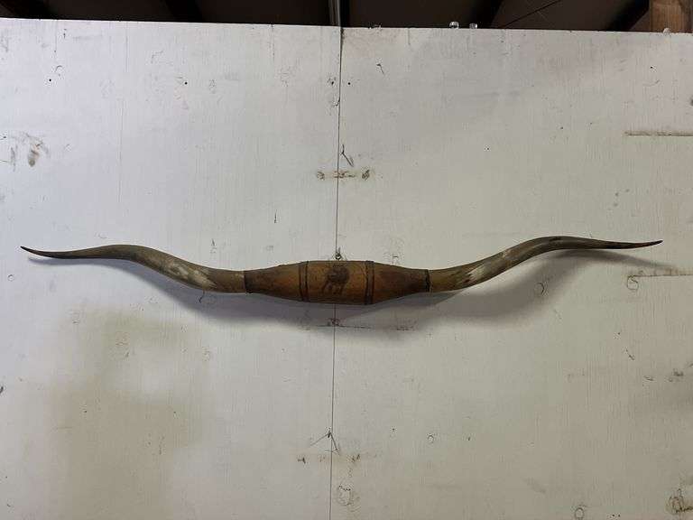 Longhorn Wall Mount image