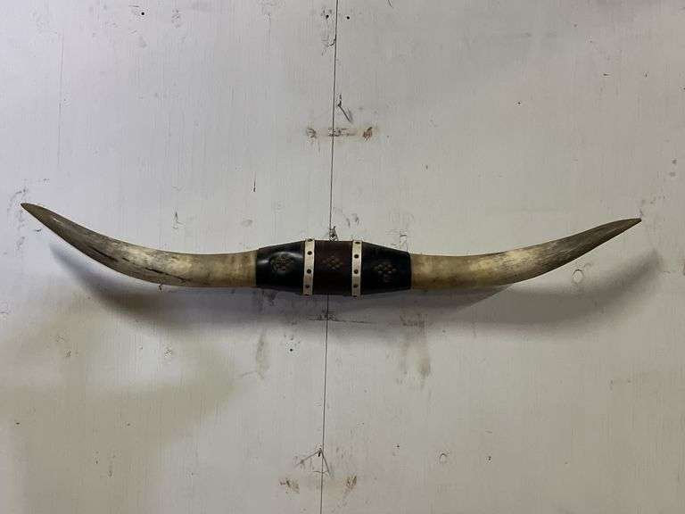 Longhorn Wall Mount image
