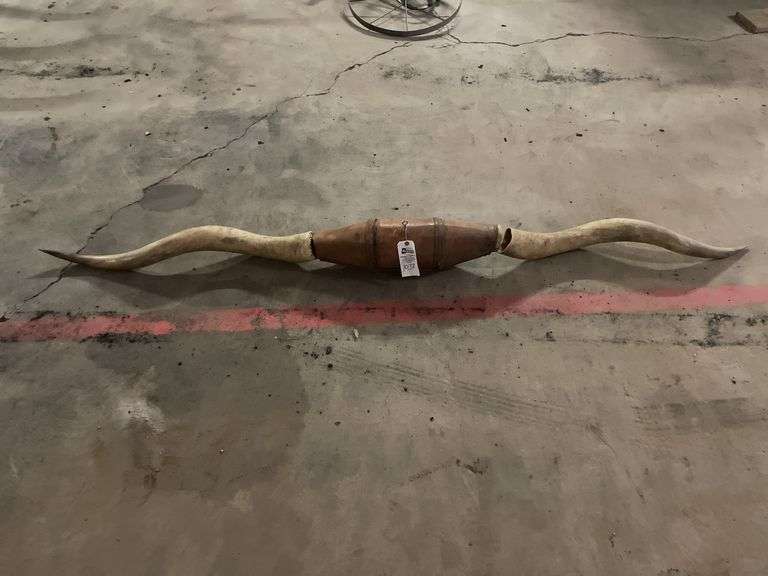 Longhorn Wall Mount Broken image