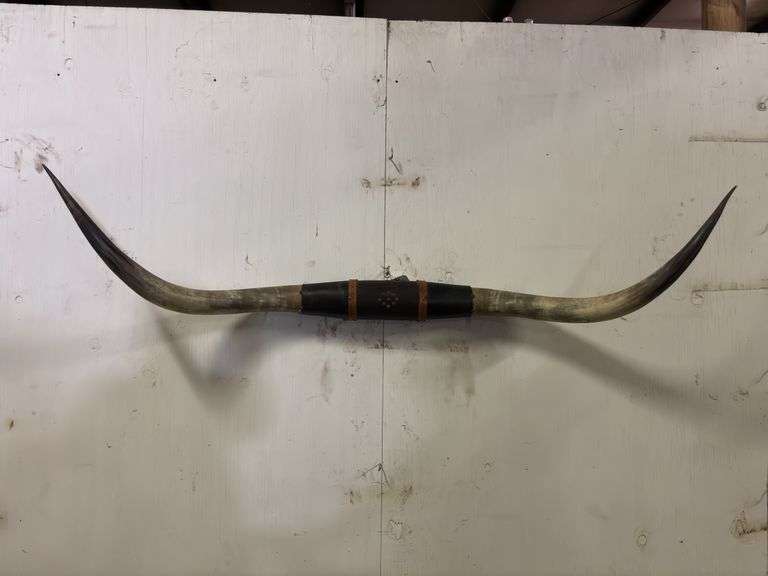 Longhorn Wall Mount image