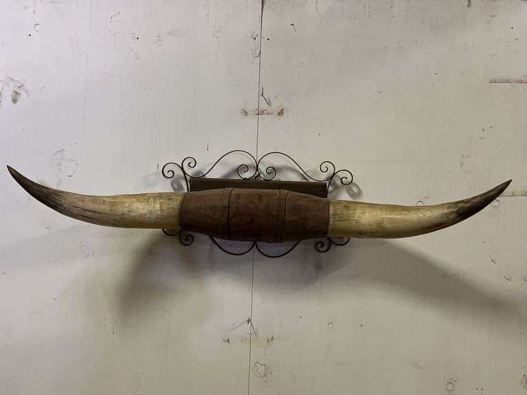 Longhorn Wall Mount image