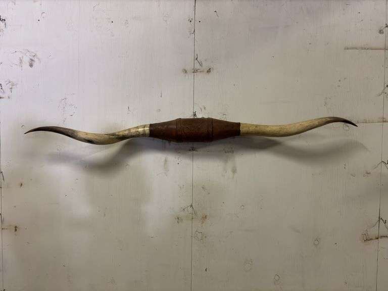 Longhorn Wall Mount image