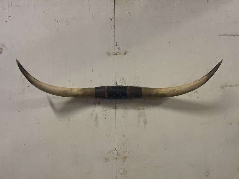 Longhorn Wall Mount image