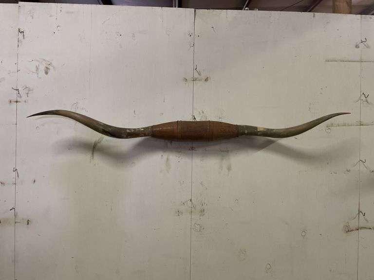 Longhorn Wall Mount image