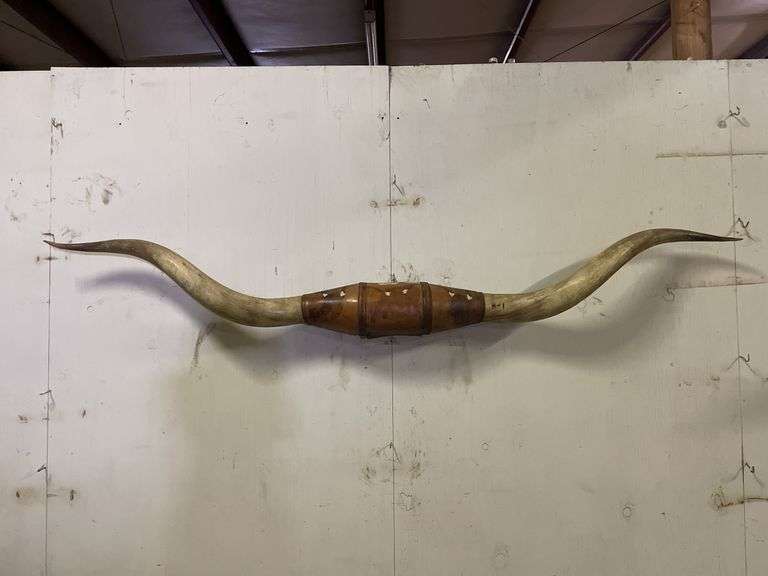 Longhorn Wall Mount image