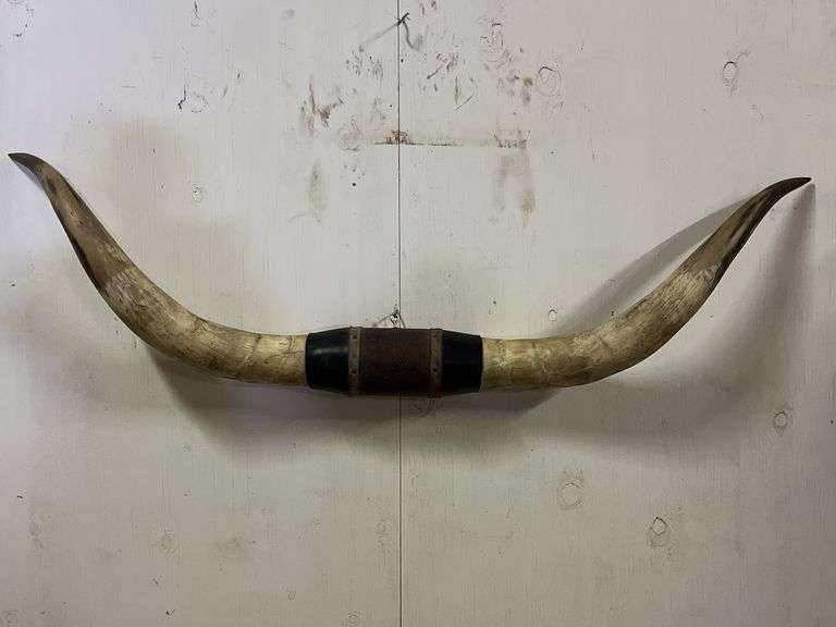 Longhorn Wall Mount image