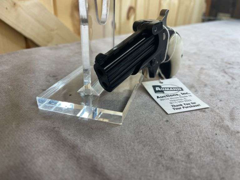 Davis Model D-22 Double Barrel .22 LR Derringer