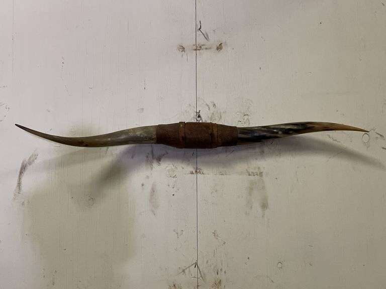 Longhorn Wall Mount image
