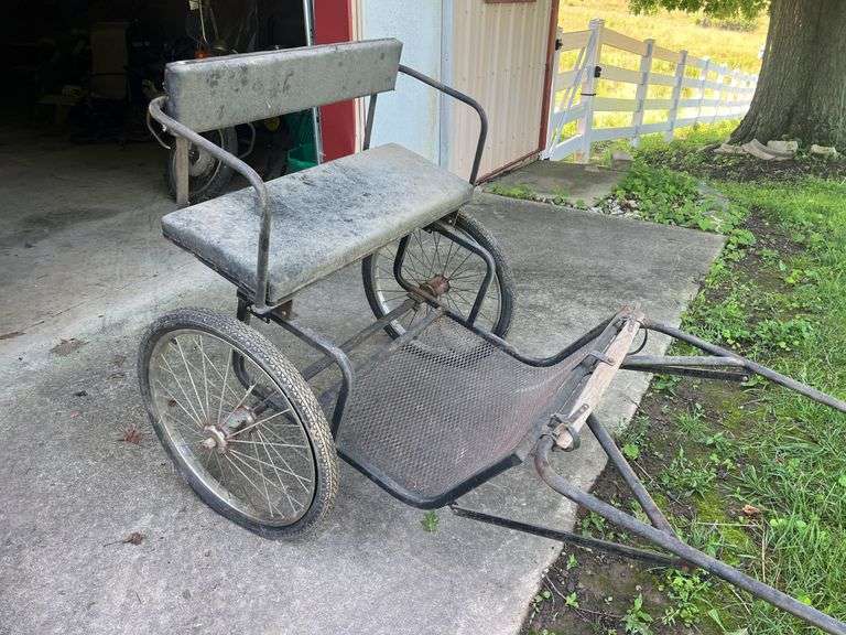 Horse Carriage image