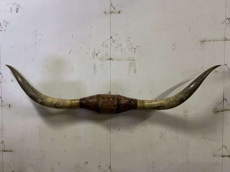 Longhorn Wall Mount image