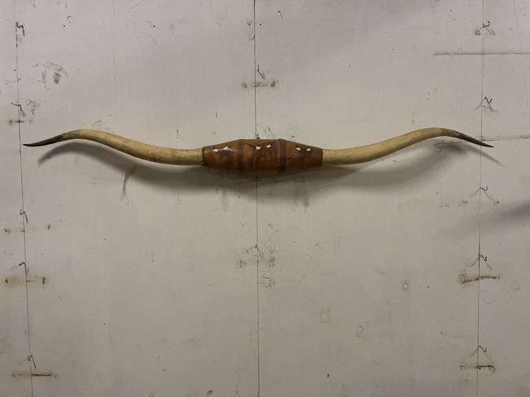 Longhorn Wall Mount image