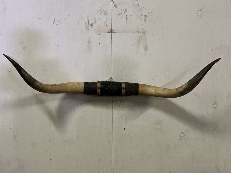 Longhorn Wall Mount image
