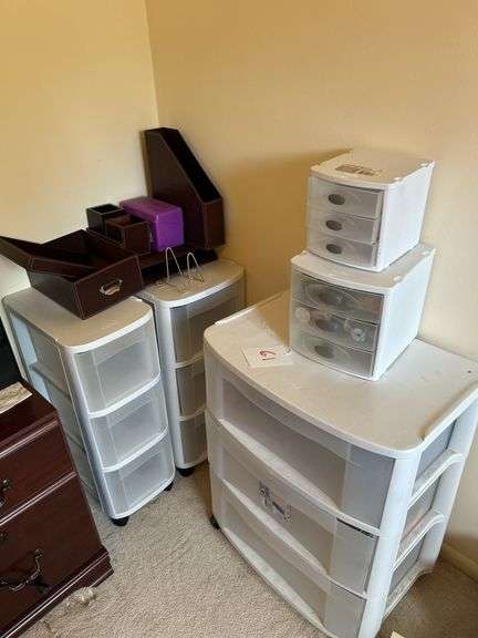 Organizational Storage