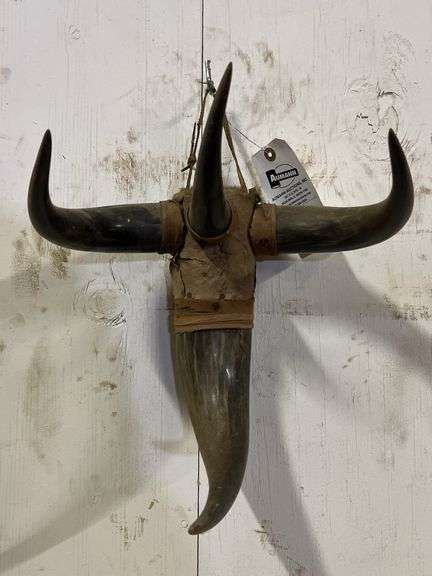 Homemade Quad horn display image