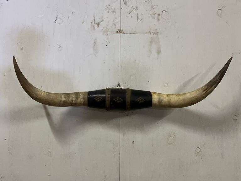 Longhorn Wall Mount image