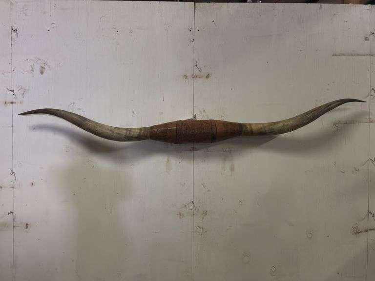 Longhorn Wall Mount image