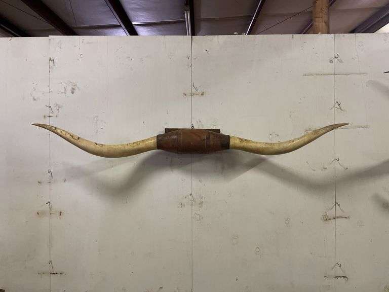 Longhorn Wall Mount image