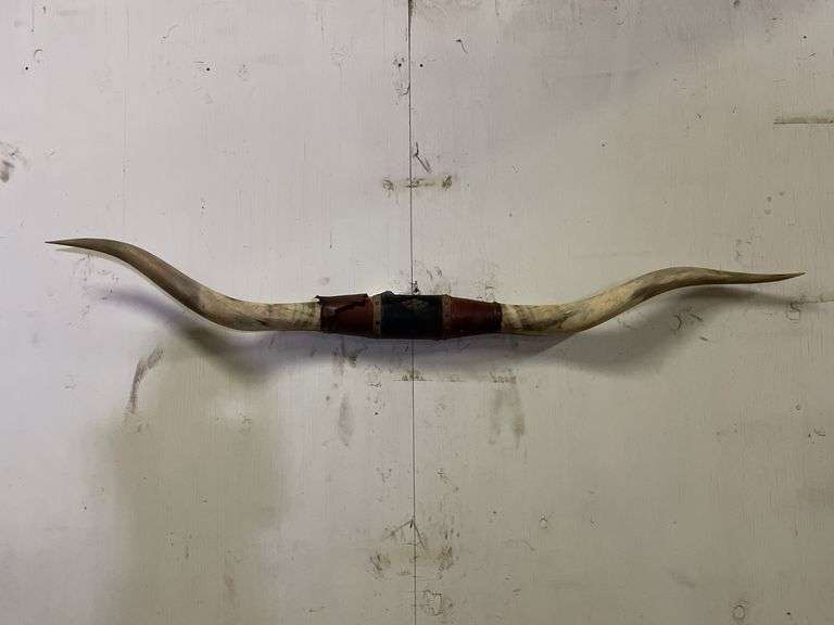 Longhorn Wall Mount image