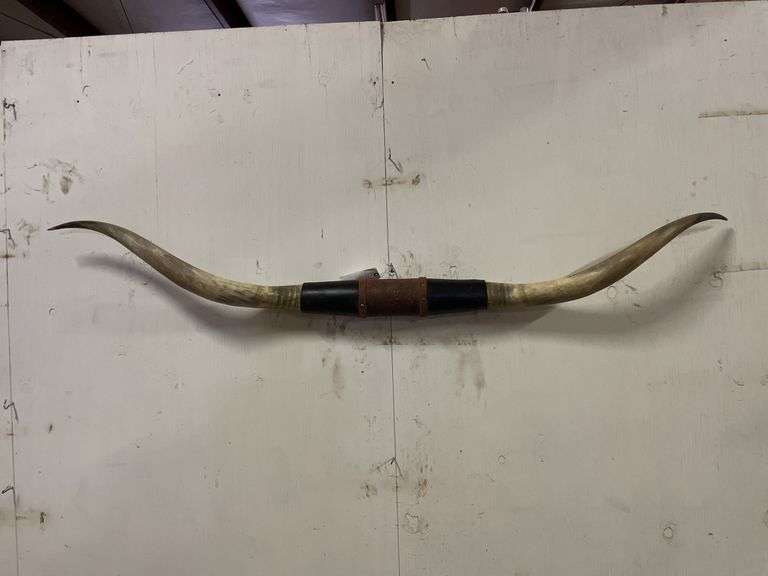 Longhorn Wall Mount image