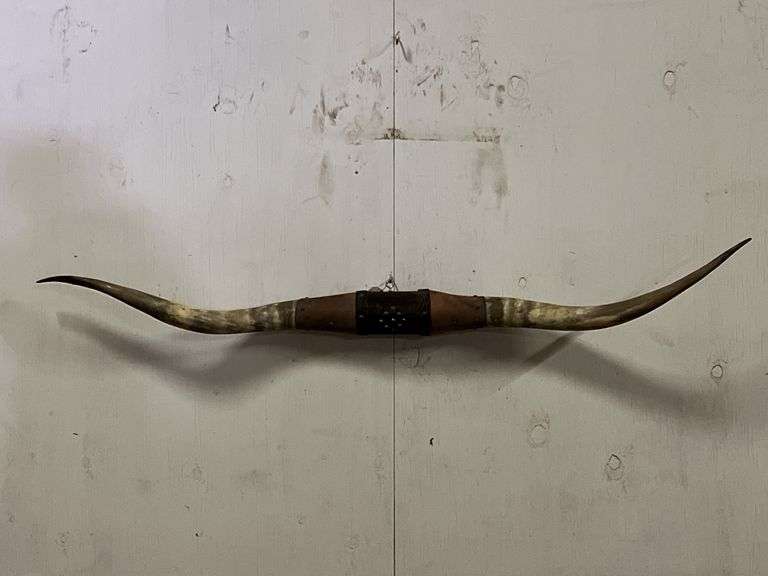 Longhorn Wall Mount image