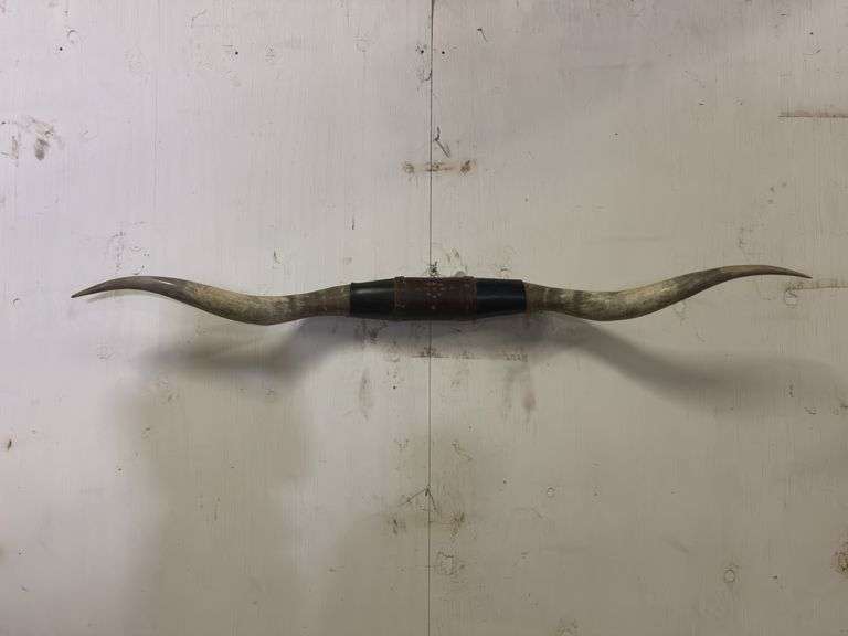 Longhorn Wall Mount image