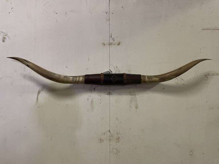 Longhorn Wall Mount image