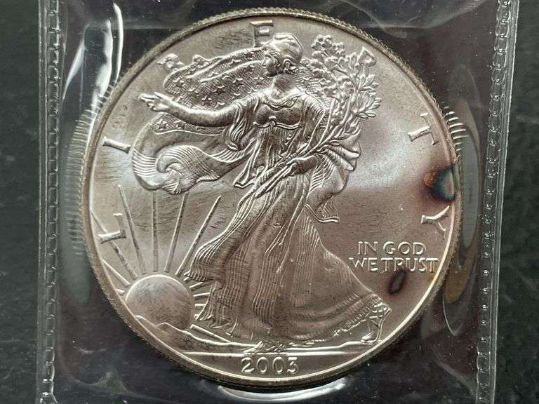 (2) 2003 & 2005 $1 American Silver Eagle
