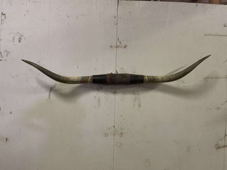 Longhorn Wall Mount image