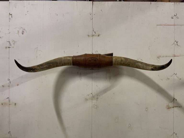 Longhorn Wall Mount image