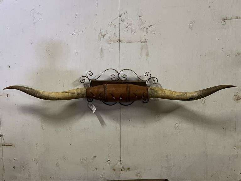 Longhorn Wall Mount image