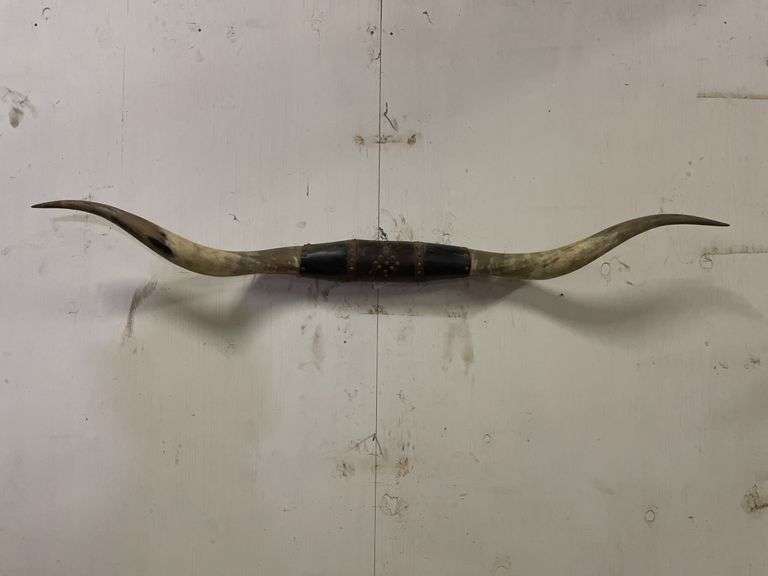 Longhorn Wall Mount image