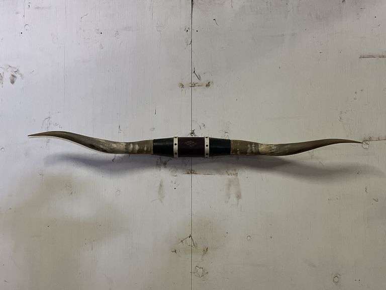 Longhorn wall Mount image
