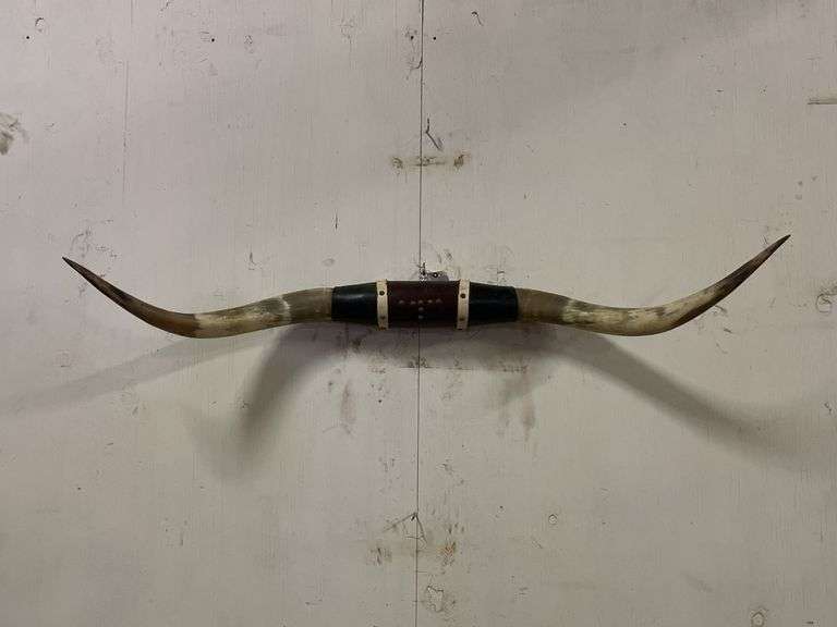 Longhorn Wall Mount image