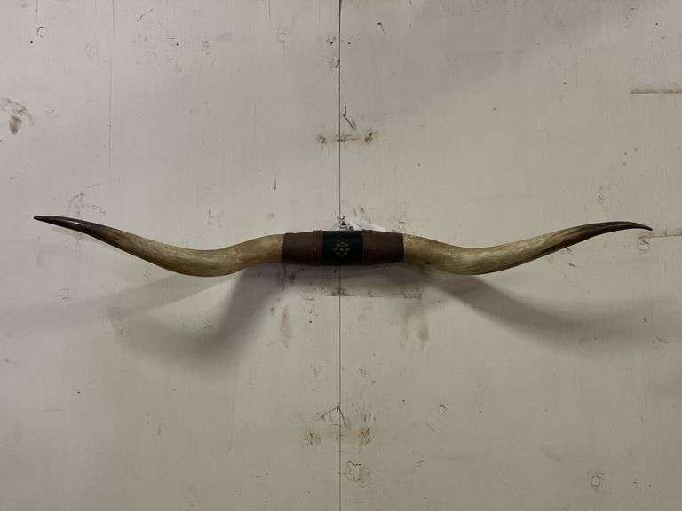 Longhorn Wall Mount image