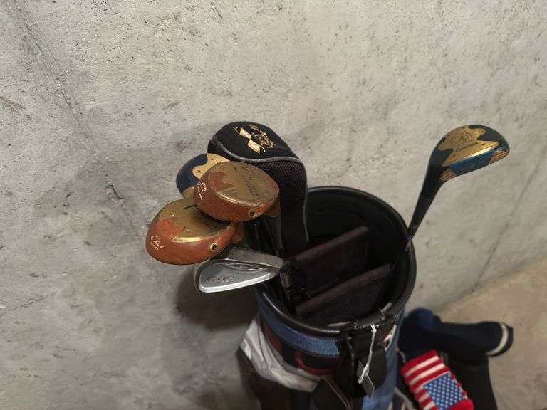 Golf Bag along with clubs and head covers