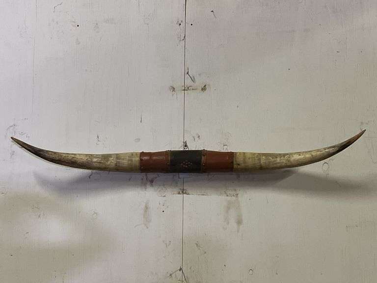 Longhorn Wall Mount image