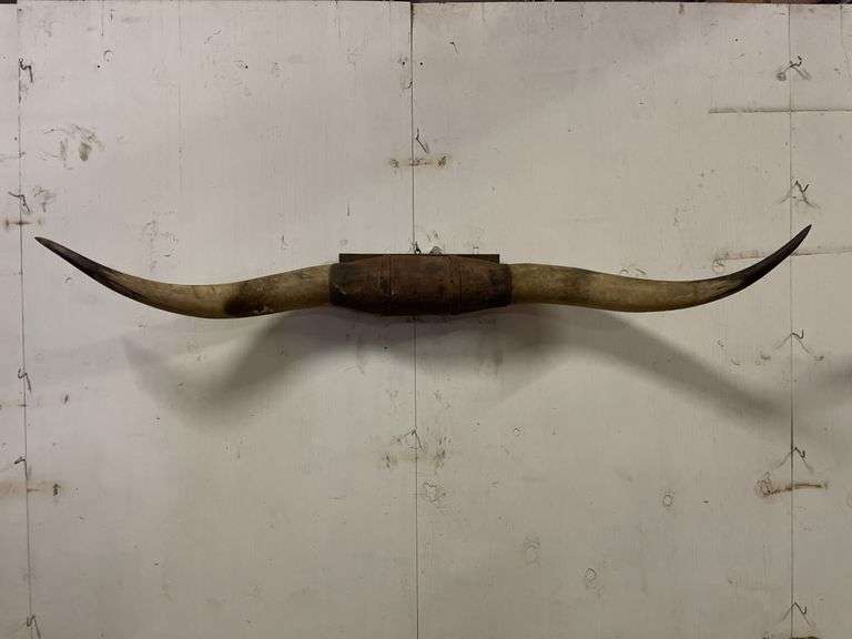 Longhorn Wall Mount image