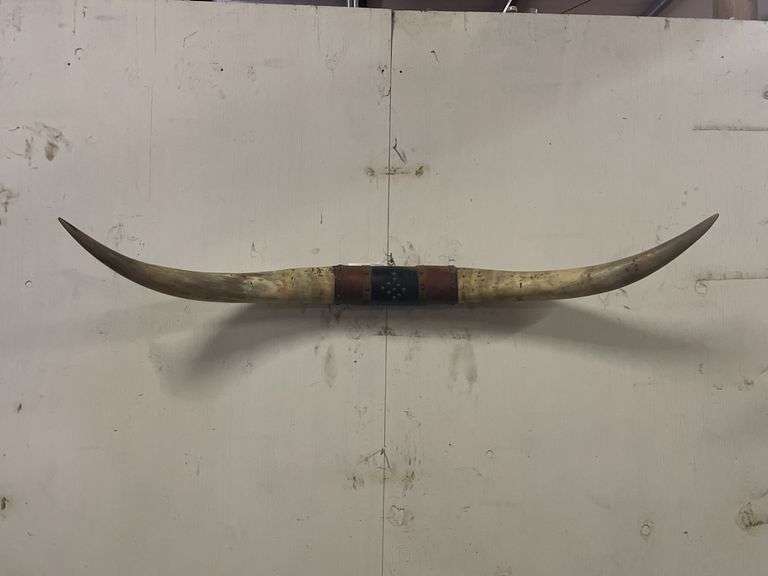 Longhorn Wall Mount image