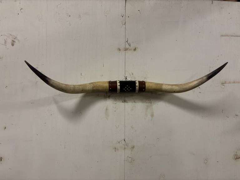 Longhorn Wall Mount image
