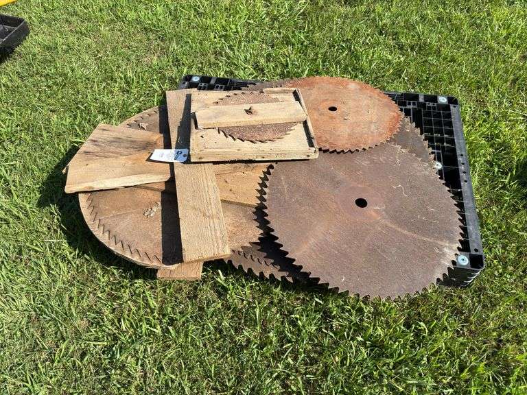 Buzz Saw Blades image