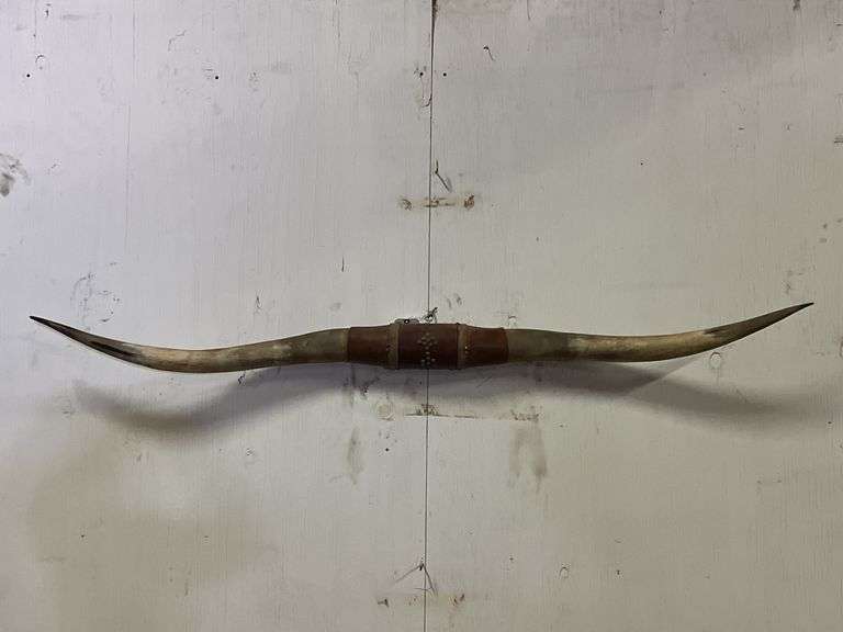 Longhorn Wall Mount image